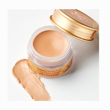Load image into Gallery viewer, Skinfood - Salmon Darkcircle Concealer Cream - 10g