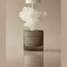 Load image into Gallery viewer, I'm From Mushroom Collagen Ampoule