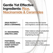 Load image into Gallery viewer, ANUA - 7 Rice Ceramide Hydrating Barrier Serum - 50ml