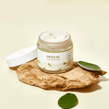 Load image into Gallery viewer, Round Lab Soybean Nourishing Cream