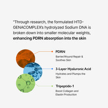 Load image into Gallery viewer, Genabelle PDRN Vita Toning Ampoule 30ml