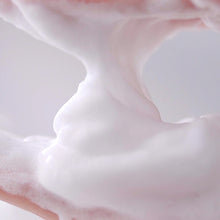 Load image into Gallery viewer, Pyunkang Yul Cleansing Foam - 100ml - 15% Off