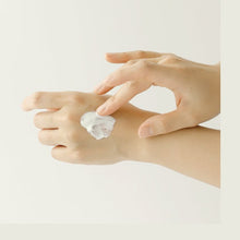 Load image into Gallery viewer, Beauty of Joseon Relief Sun: Rice + Probiotics SPF50+ PA++++ Sunscreen