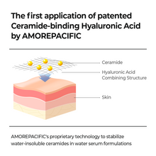 Load image into Gallery viewer, Aestura Atobarrier 365 Hydro Cera-Hyaluronic Acid Serum
