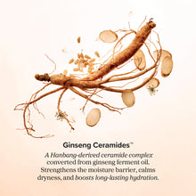 Load image into Gallery viewer, BEAUTY OF JOSEON - Revive Firming Moisturizer - 60ml
