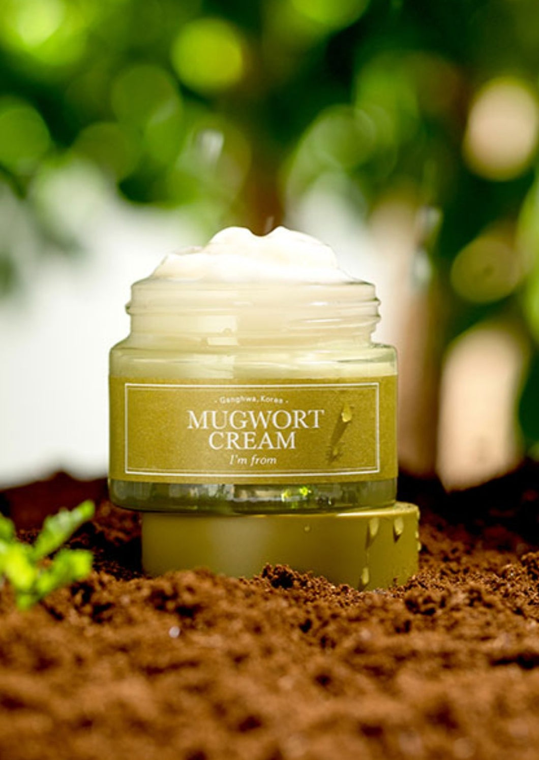 I'm From Mugwort Cream